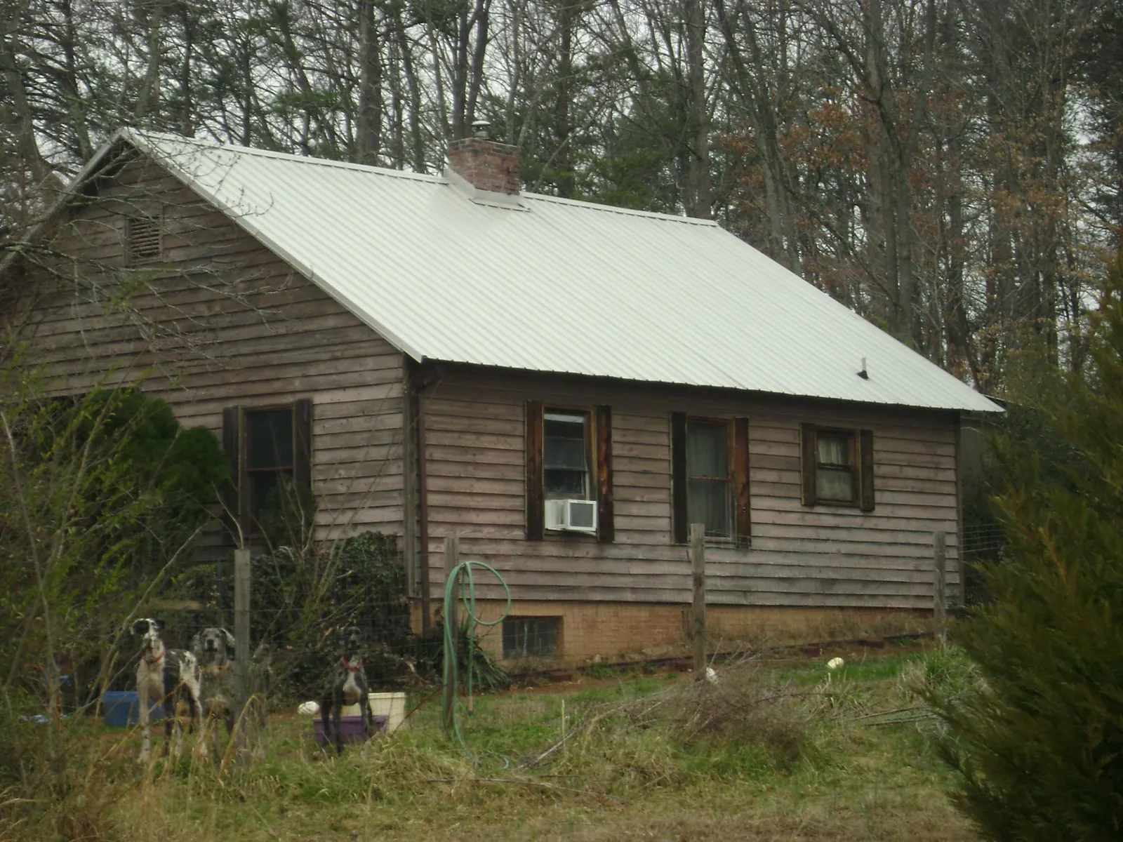 White metal roof on an old wood sided farmhouse, from a Asphalt Shingle Roof Repair job in Roaring Gap